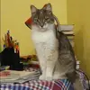 Отзыв от Прасковья Львова